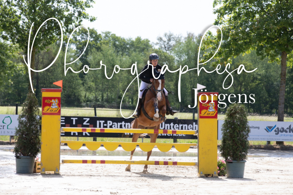 IMG_4001 | photographesa-joergens - Realisiert mit Pictrs.com