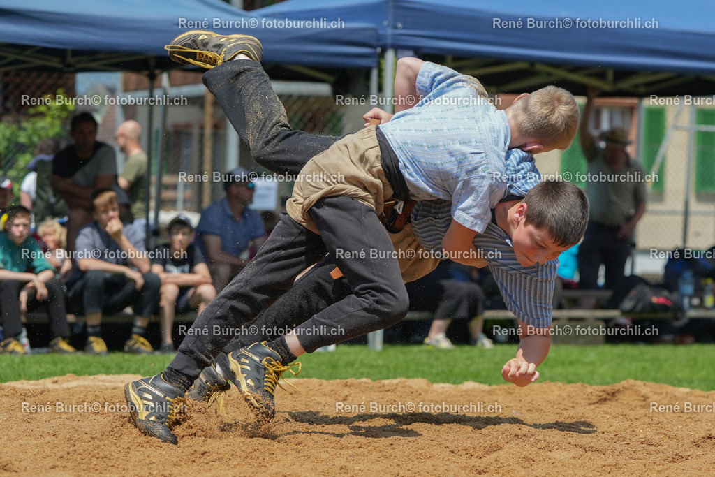RB_01075 | René Burch leidenschaftlicher Fotograf aus Kerns in Obwalden.  Hier finden sie Sport, Landschaft und Natur Fotografie.
 - Realisiert mit Pictrs.com