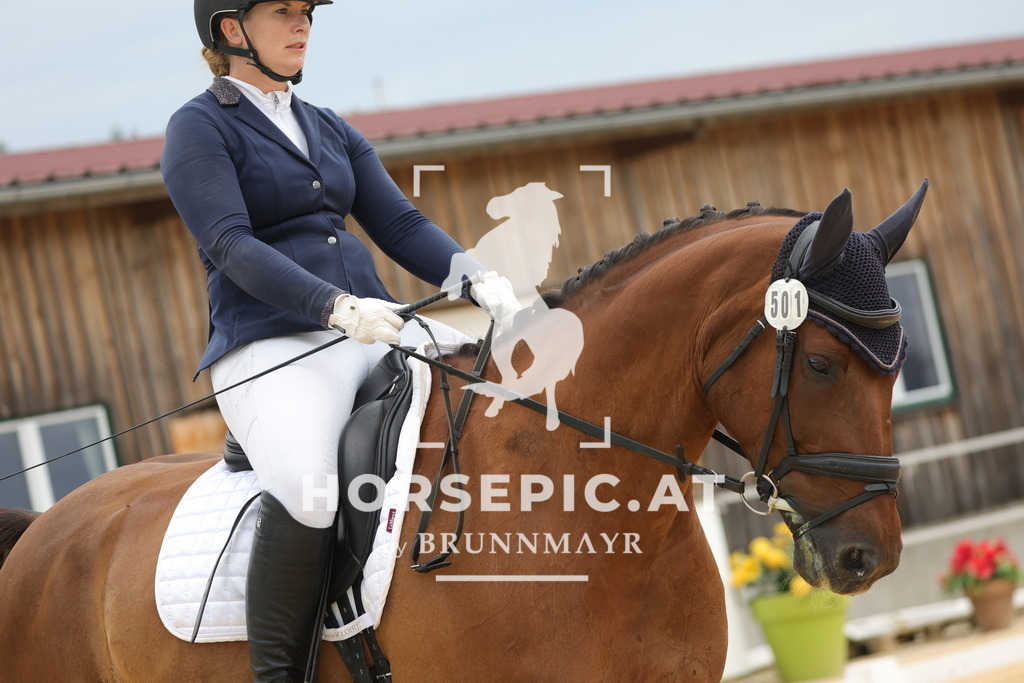 0P6A8717 | Willkommen bei Brunnmayr - Design & Fotografie – Ihrem Spezialisten für Reitturniere und Pferdeveranstaltungen in Oberösterreich, Salzburg und Bayern! Seit über 17 Jahren sind wir leidenschaftlich dabei.