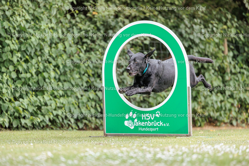 THS-Quakenbrück-2026-Nickbest-Hundefotografie-4060 | Dein Hund! Dein Moment! Deine Erinnerungen! Hundefotografie in Bremen Blumenthal. Ich fange die besonderen Momente deines Vierbeiners ein – ob Indoor mit Blitzanlage oder in der freien Natur. Sicher dir dein Moment und dein Termin für eure Erinnerungen.