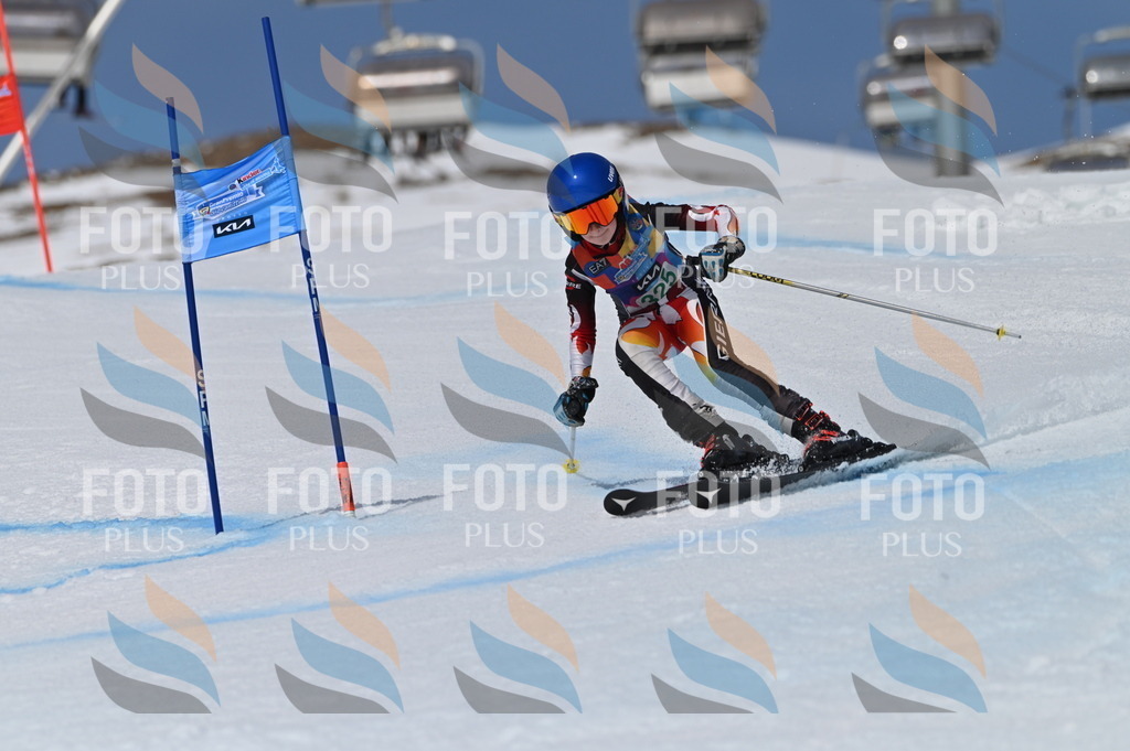 BGV_6432 | holidayphoto