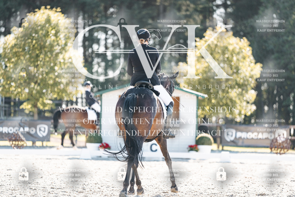 CK906326 | Turnierfotografie Pferdefotografie Trier Rheinland-Pfalz Pferdesport Reitsport Tierfotografie Sportfotografie Pferdevideo Pferdevideografie Equestrianvideography equestrianphotography  - Realisiert mit Pictrs.com