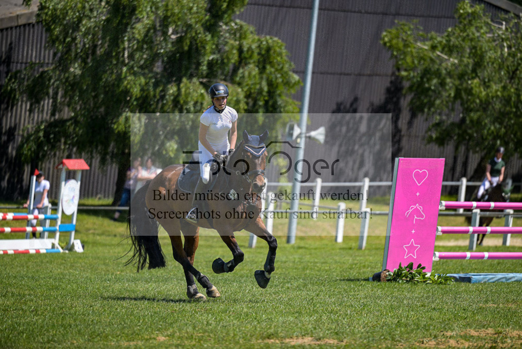 Reitturnier Voxtrup | Entdecke hochwertige Reitturnierfotos von Foto Oger. Professionell, emotional und authentisch – jetzt Lieblingsmomente im Shop bestellen.Deutschlandweite Turnierfotografie. - Realisiert mit Pictrs.com