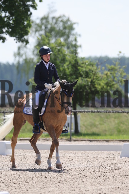 Rot am See_2024_Prfg.Nr.21_Qual.BCH_und_LCH_5-jähr.Ponys_Mona Honold_Erna 65 (6) | Alle Fotos der Reiterjournal Fotografin Doris Matthaes im Reiterjournal Online-Fotoshop. - Realisiert mit Pictrs.com