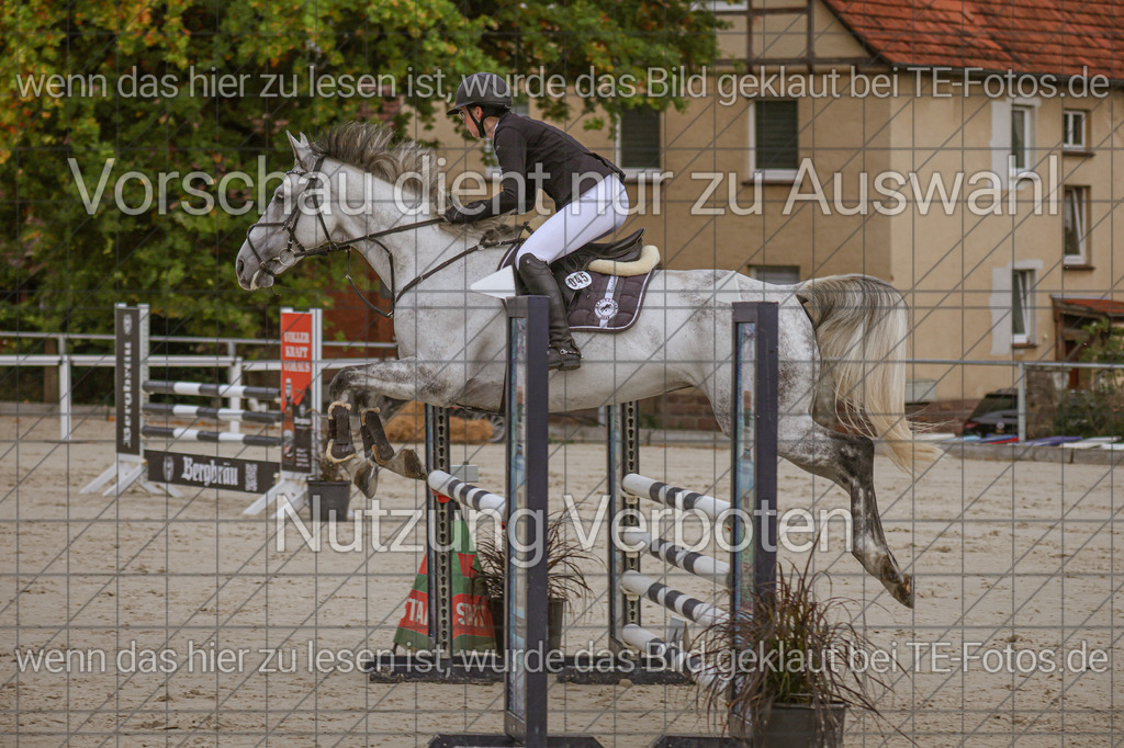 2025-09-22_09-48-53_MG_4770 | TE-Fotos