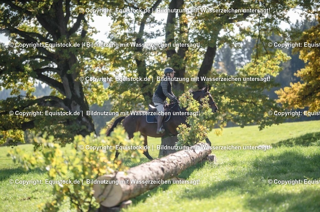 20251011_Jagd-Marbach_0438 | Foto: Thomas Hartig