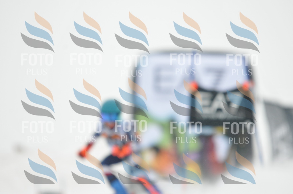 DSC_7769 | holidayphoto