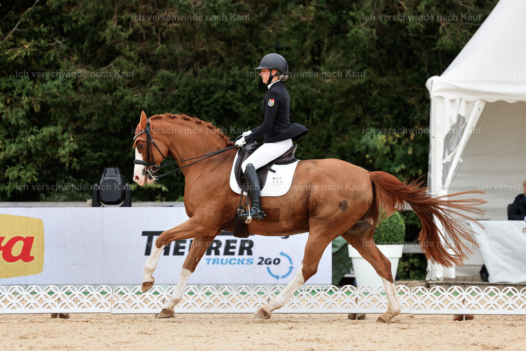 04_1-180-Dressur M__ -StoibPH-StoibPH-2639 | working equitationturnier fotograf videograf stoibphotography marixx film working equitation deutschland reitsport turnierfotografie eventfotografie equestrian events