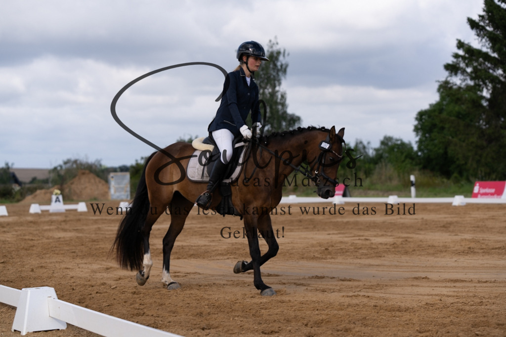 A7V05200 | Pferdefotograf