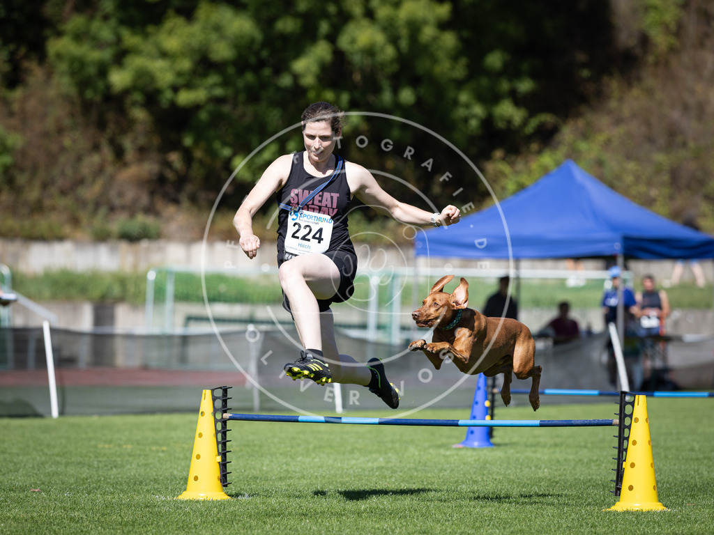 Pfotenfotografie_DV3A5541 | Hundefotografie, Tierfotograf, Pfotenfotografie, Fotoshooting Hund, Hunde Portrait, Hundesport, Hundeportraits, Heideshooting, Hunde, Sportfotograf, Hundefotograf, Turnierhundsport, THS,  - Realisiert mit Pictrs.com