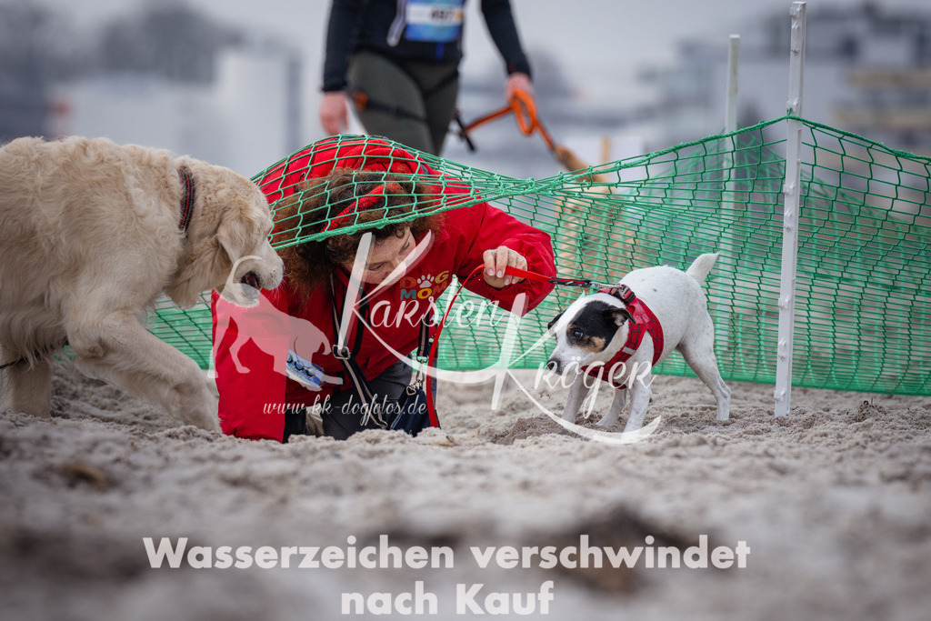 1149_ZZ90806 | kk-dogfotos