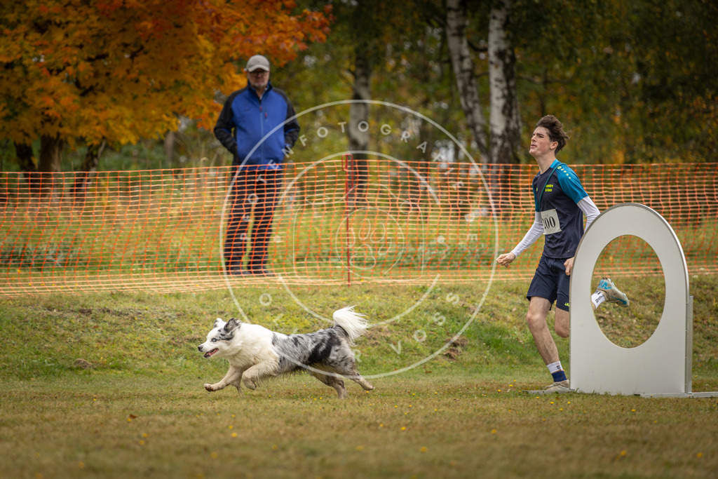 Pfotenfotografie_DV3A1561 | Hundefotografie, Tierfotograf, Pfotenfotografie, Fotoshooting Hund, Hunde Portrait, Hundesport, Hundeportraits, Heideshooting, Hunde, Sportfotograf, Hundefotograf, Turnierhundsport, THS,  - Realisiert mit Pictrs.com