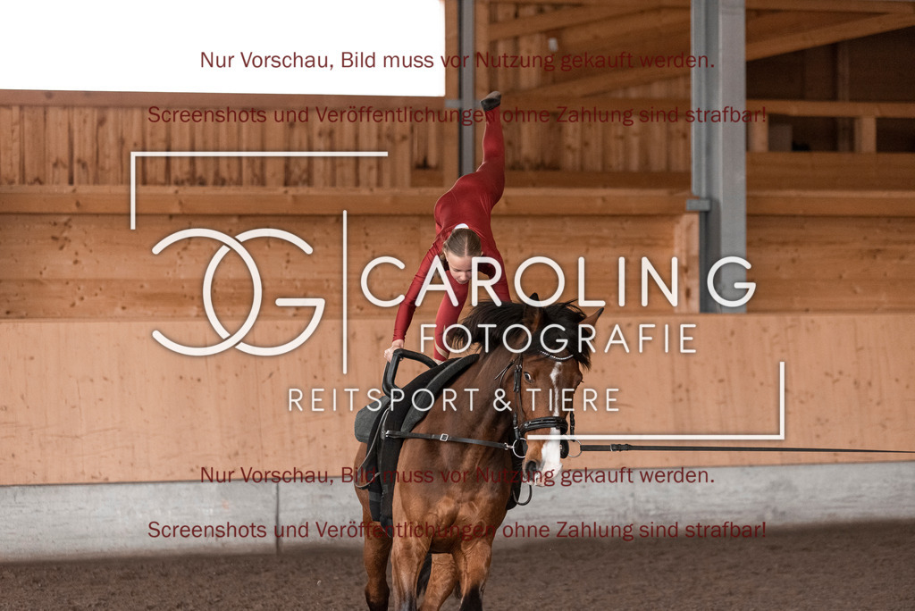 DSC_2014 | Turnierfotografin Carolin Gieschke,Reitsport Turnierfotografie Carolin G Fotografie | Turnierfotos aus Kirchheim/Teck, Esslingen, Stuttgart und dem Bodenseekreis