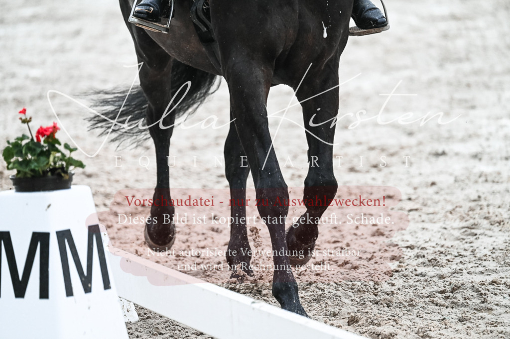 DSC_4691 | Pferde- und Turnierfotografie in Westsachsen. Pferdeportraits, Auftragszeichnungen und intuitive Kunst.