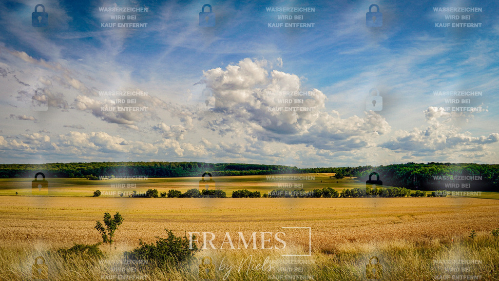 Feldlandschaft | Frames by Niels – Fotograf aus Wassenberg (Nähe Mönchengladbach). Natürliche Fotos von Menschen, Tieren, Produkten und Architektur. Outdoor-Shootings & professionelle Prints direkt im Shop bestellen oder vor Ort buchen. - Realisiert mit Pictrs.com