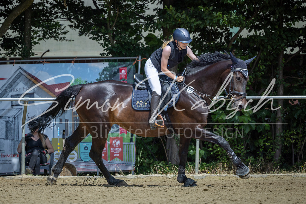 20260704-_3LI0408 | Tierfotografie Pferde, Hunde, Katzen, Haustiere.
Turnierfotografie Reitturniere, Reiten, Springreiten, Dressur in Hanau, dem Main-Kinzig-Kreis und dem Rhein-Main- Gebiet um Frankfurt