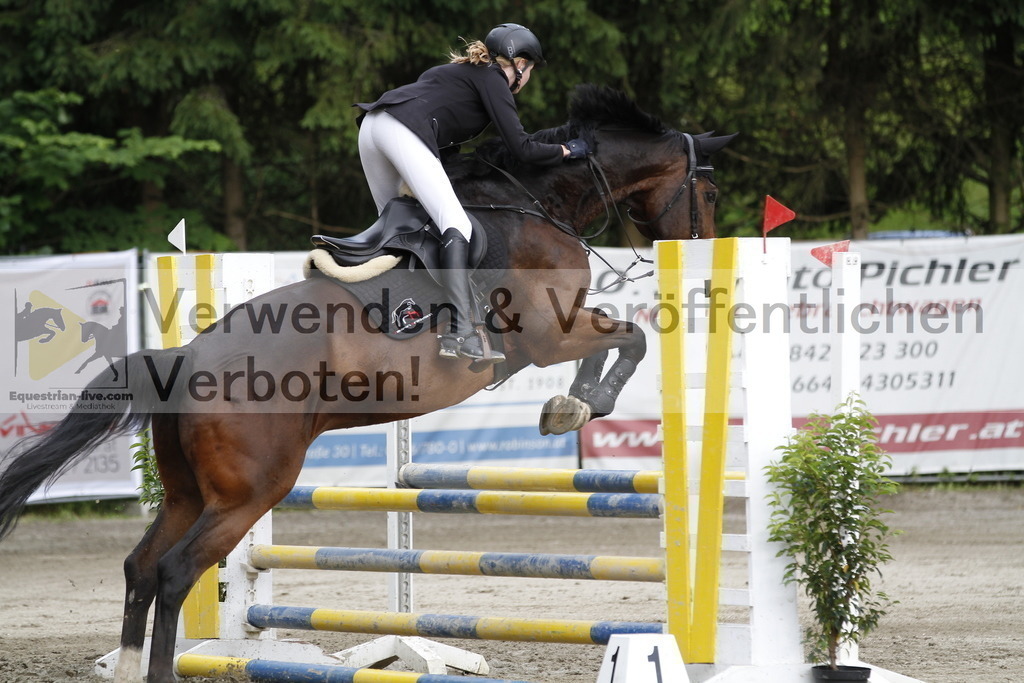 _MG_8930 | equestrian-live-com