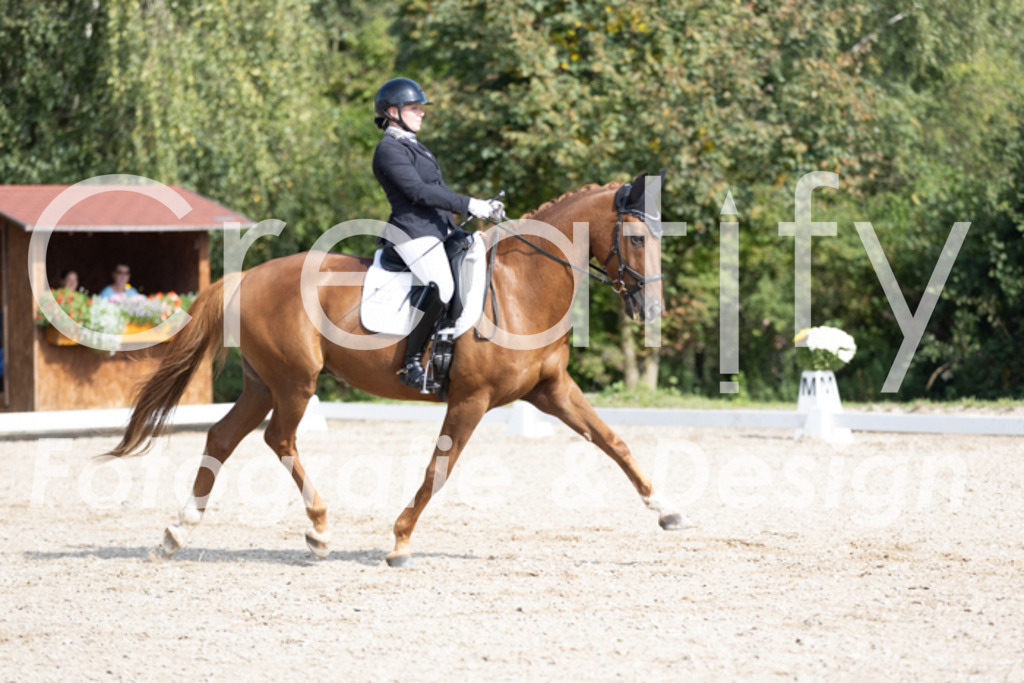 IMG_3268 | Creatify Fotografie