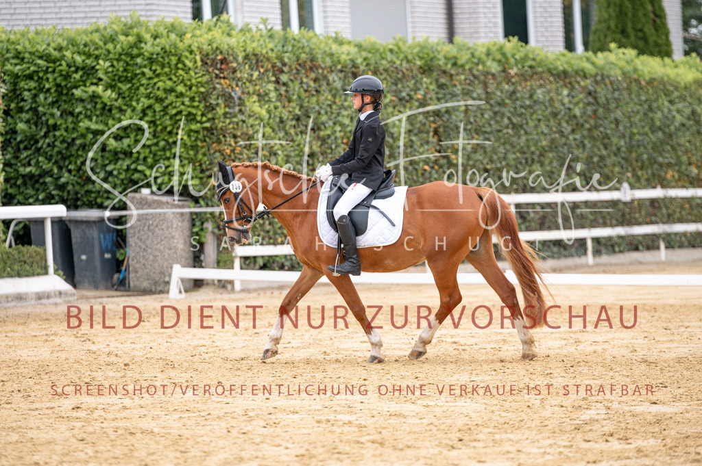 Schugtsche-Aluta25-40.DressurprfA_-399 | Schugtsche Fotografie - Realisiert mit Pictrs.com