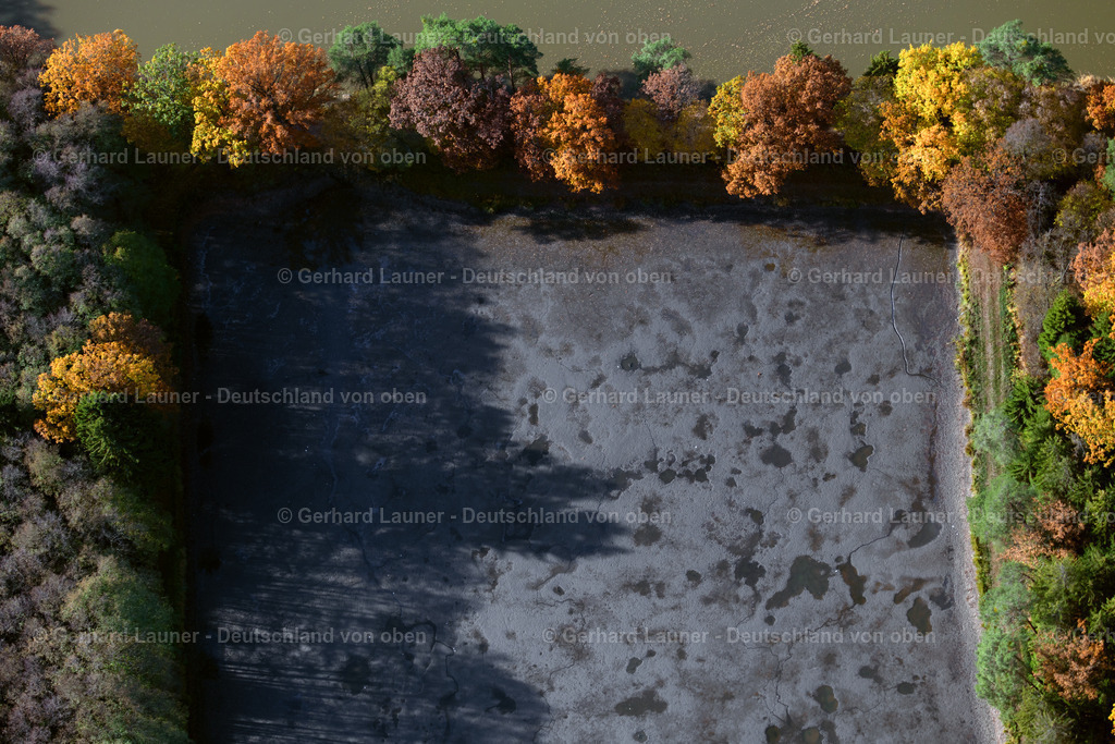 3808098 | Herbstliche Bäume an den Fischteichen bei Adelsdorf