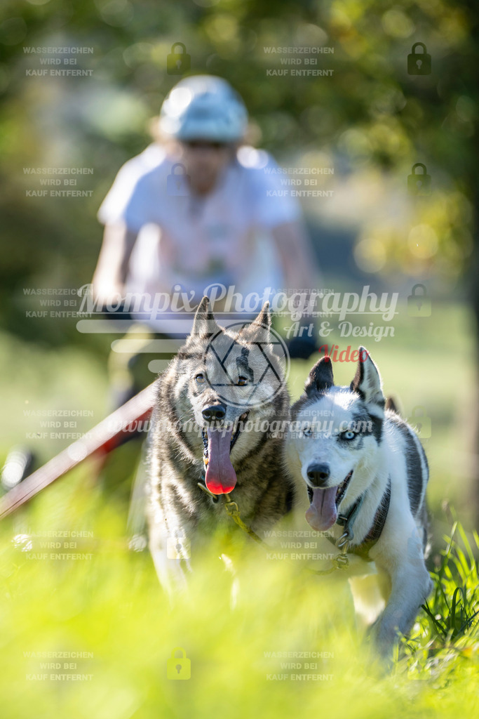 MompixPhotography_20TSB_E3_Kart-17 | PayLife
