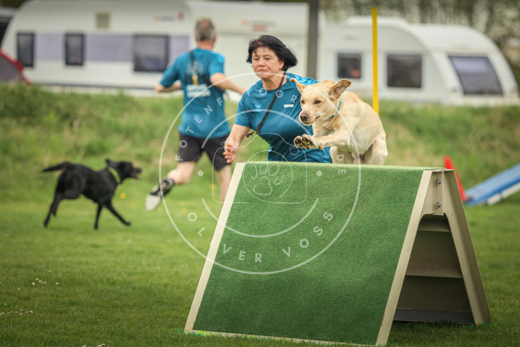 Pfotenfotografie_0L8A0670 | Hundefotografie, Tierfotograf, Pfotenfotografie, Fotoshooting Hund, Hunde Portrait, Hundesport, Hundeportraits, Heideshooting, Hunde, Sportfotograf, Hundefotograf, Turnierhundsport, THS,  - Realisiert mit Pictrs.com