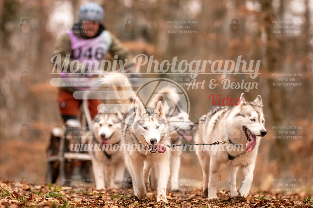 AKM_ST_2023_SAM_DR4-47 | PayLife