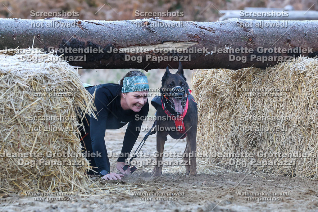 Dog Paparazzi - Strongdog 10-25-352 | Dog Paparazzi Jeanette Grottendiek Fotografie & Videografie - Realisiert mit Pictrs.com