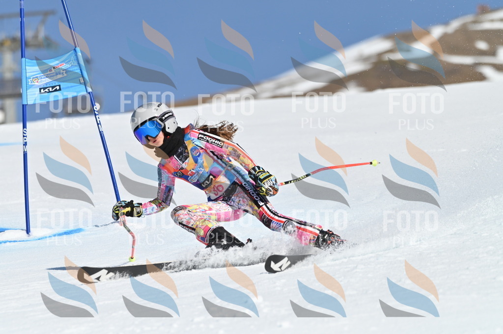 BGV_8271 | holidayphoto