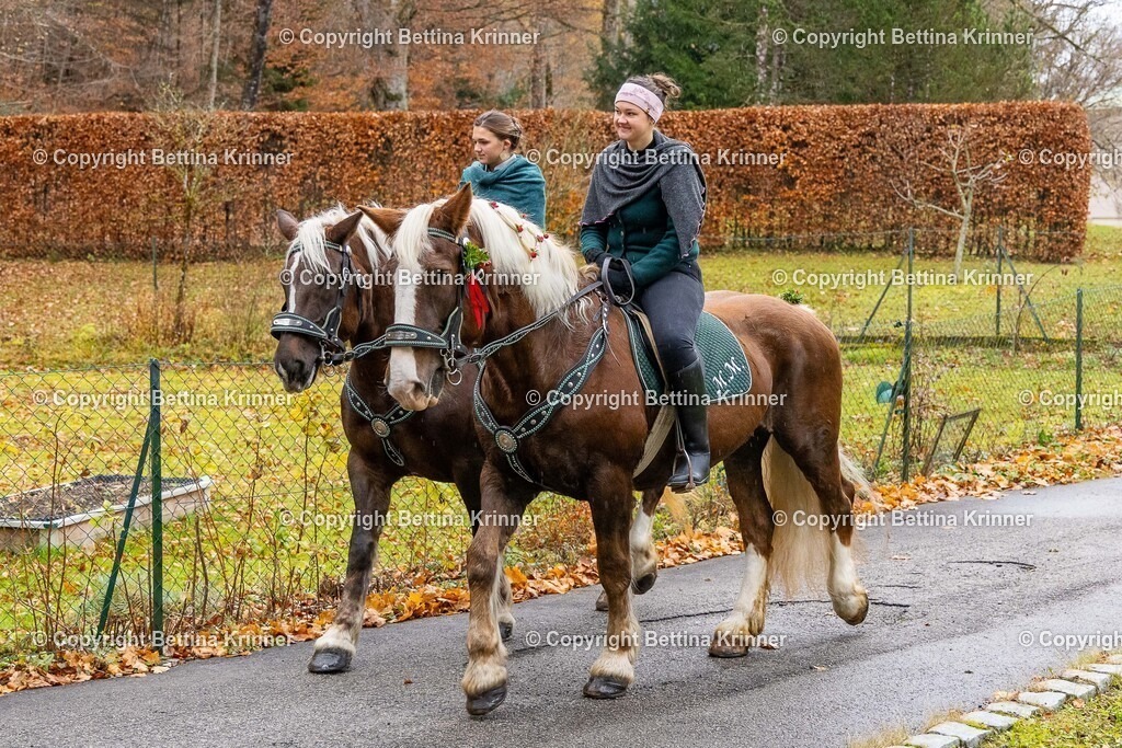 LL25-123 | foto-bettina-krinner - Realisiert mit Pictrs.com