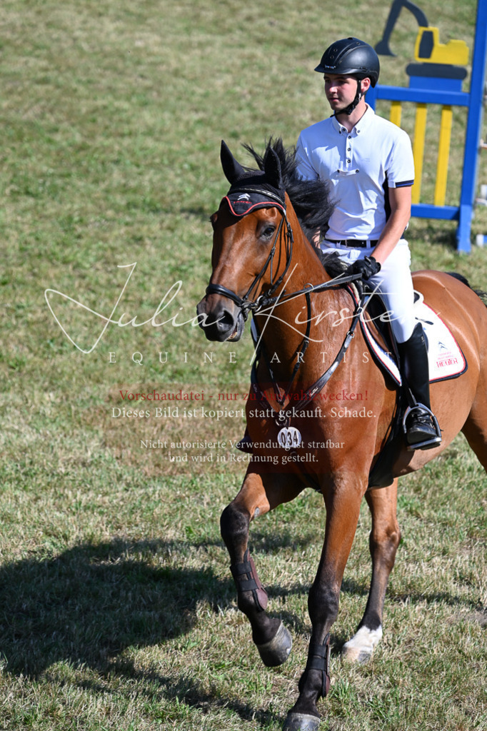 DSC_1916 | Pferde- und Turnierfotografie in Westsachsen. Pferdeportraits, Auftragszeichnungen und intuitive Kunst.