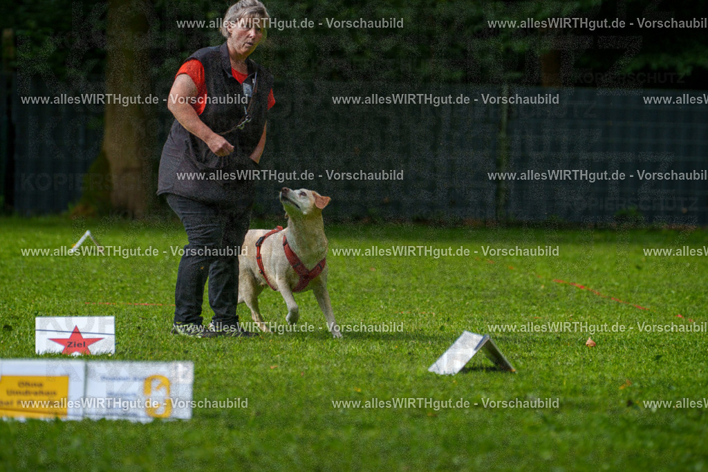 @allesWIRTHgut_Tierfotografie - www.allesWIRTHgut.de - 7R502250 | Professionelle Tierfotografie in Mönchengladbach von Daniel Wirth (allesWIRTHgut). Liebevolle & natürliche Bilder von Hunden & Katzen für unvergessliche Erinnerungen.