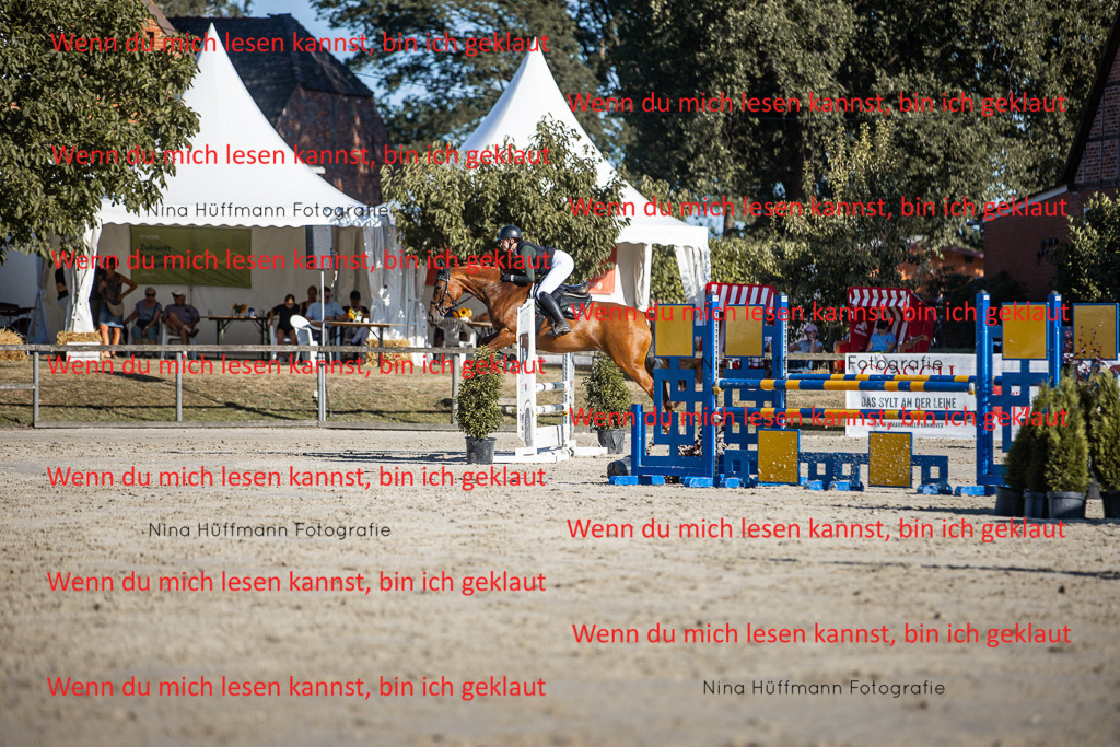 BK1A7619 | Turnierbilder Turnierfotos Nina Hüffmann Turnierfotografie Pferdefotografie Tierzeichnung Haustierzeichnung Pferdezeichnung Hundezeichnung Videograf  - Realisiert mit Pictrs.com