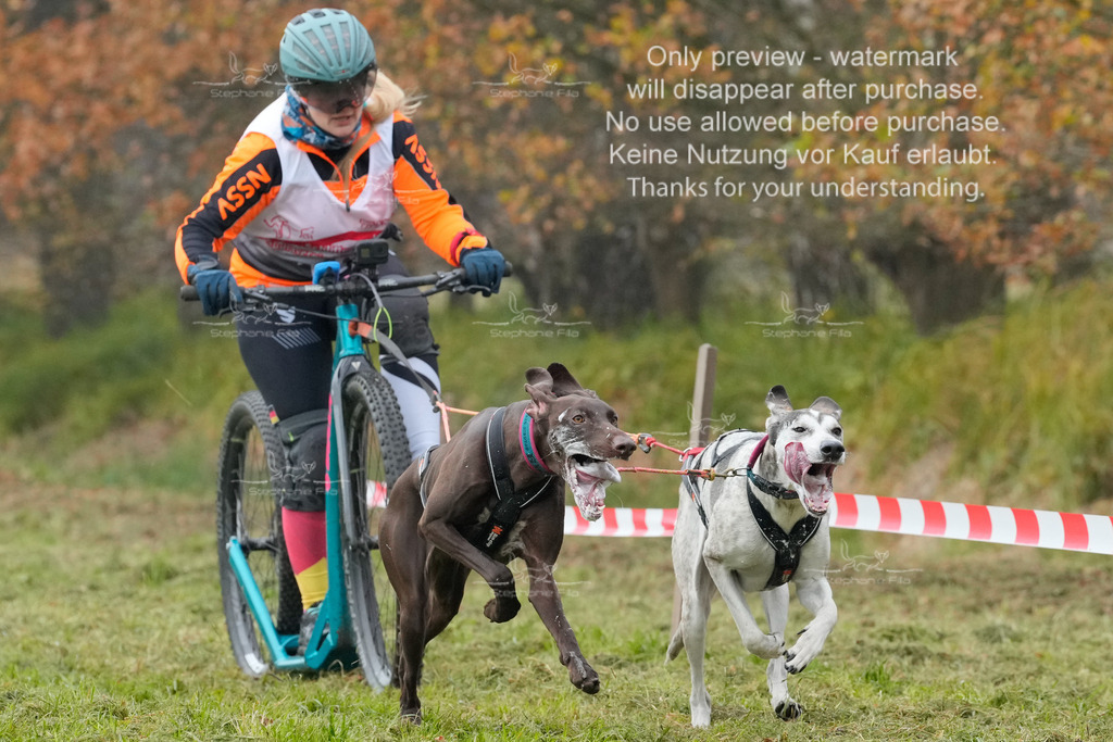 AusschnitteSa-176 | stephaniefillaphotographie - Realisiert mit Pictrs.com