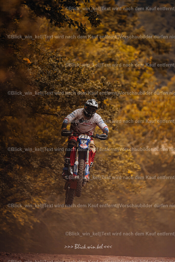 E68A8212 | blick_win_kel