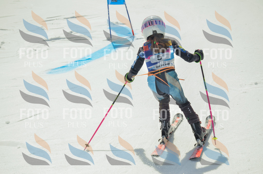 _ELE4440 | holidayphoto