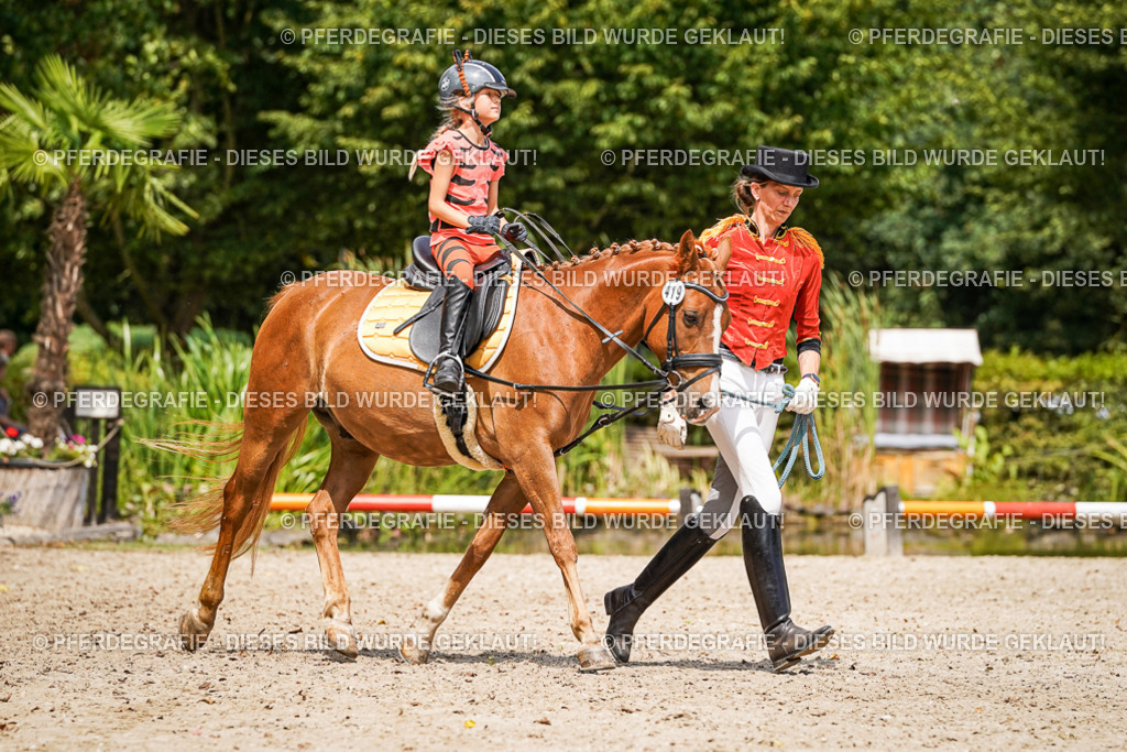 DSC03147 | Pferdegrafie