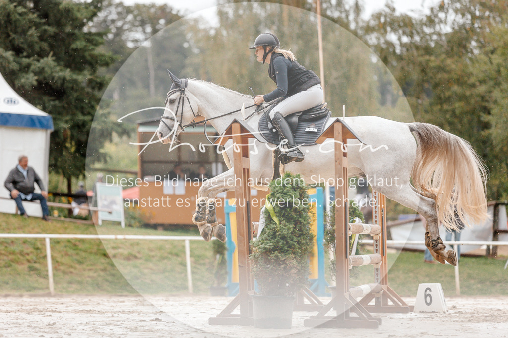 3I6A5678 | Stimmungsvolle Portraits und Reitsportfotografie im Ruhrgebiet und im Münsterland.

Pferdefotografie, Hundefotografie, Tierfotografie, Reportagen, Portraits von Tier und Mensch, Turnierfotografie in Bochum, Recklinghausen, Marl, Haltern am See, Dülmen.. - Realisiert mit Pictrs.com