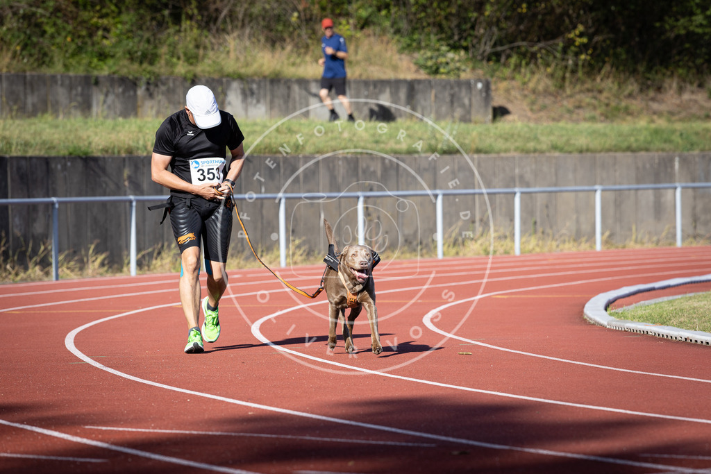 Pfotenfotografie_DV3A9983 | Hundefotografie, Tierfotograf, Pfotenfotografie, Fotoshooting Hund, Hunde Portrait, Hundesport, Hundeportraits, Heideshooting, Hunde, Sportfotograf, Hundefotograf, Turnierhundsport, THS,  - Realisiert mit Pictrs.com