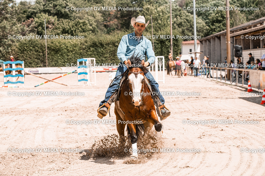 ZS3_0019 | dv-media-shop - Realisiert mit Pictrs.com