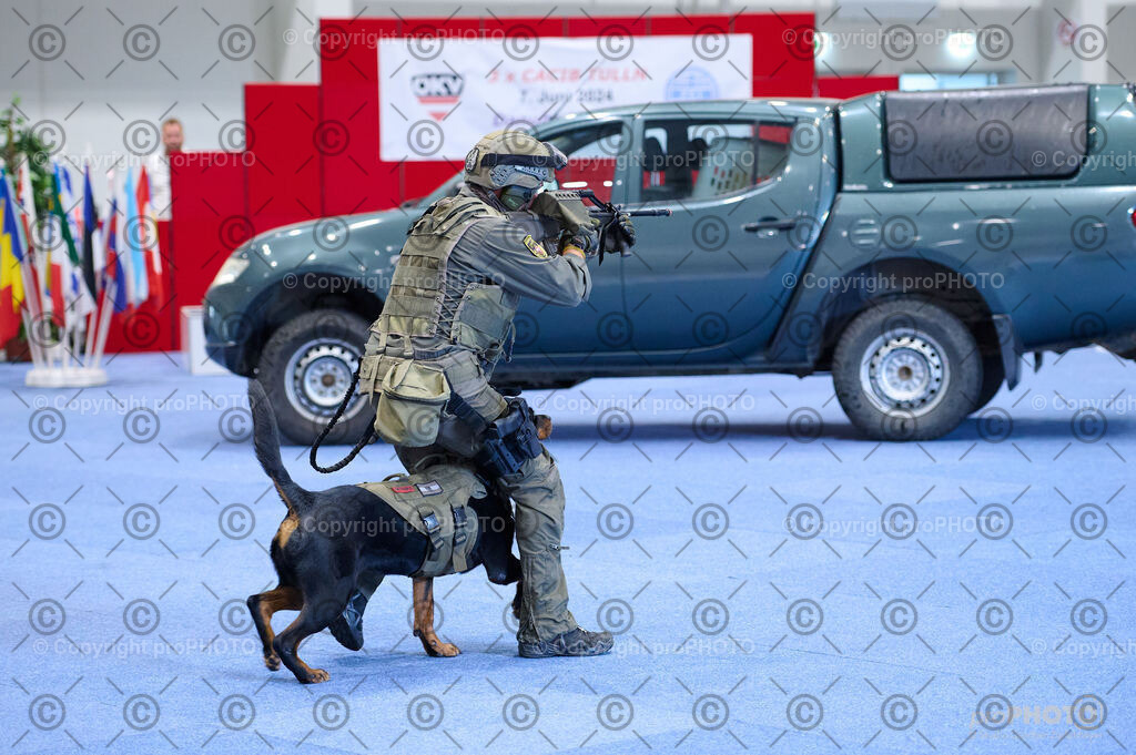 202406_ÖKV-IHA-Tulln24_DSC_2744 | proPHOTO - Realisiert mit Pictrs.com