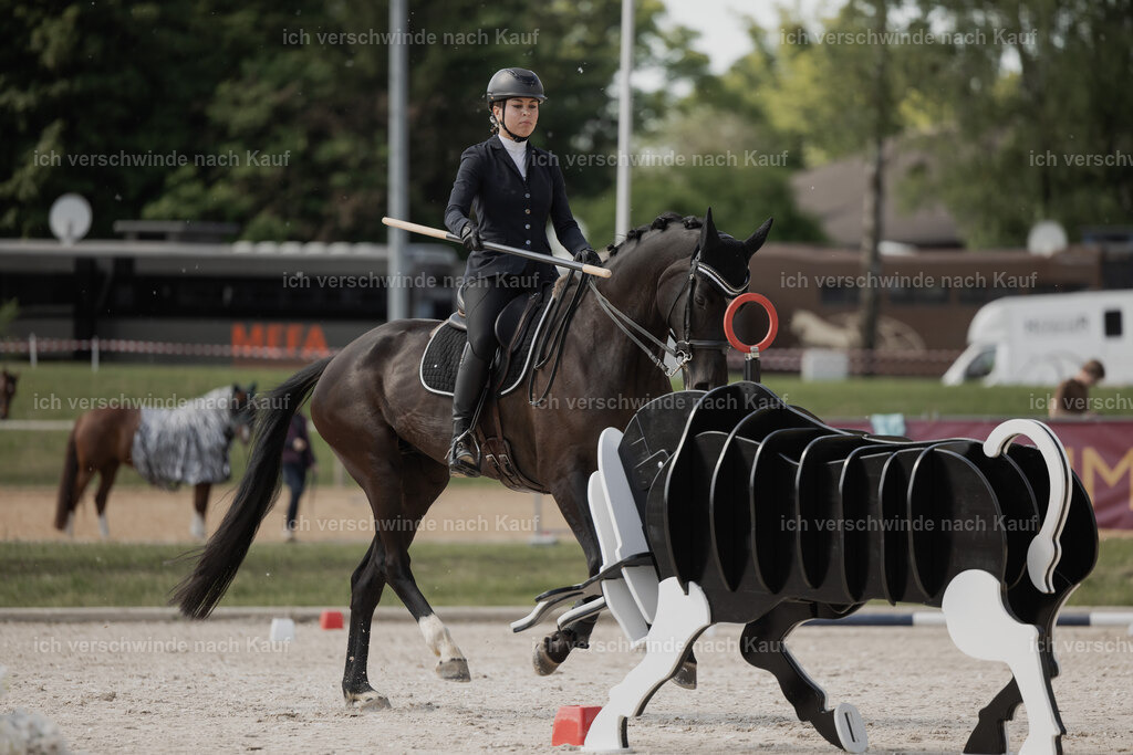 WE_ST_Stoib_316_PI2025_1402 | 330Pferd International München 2025