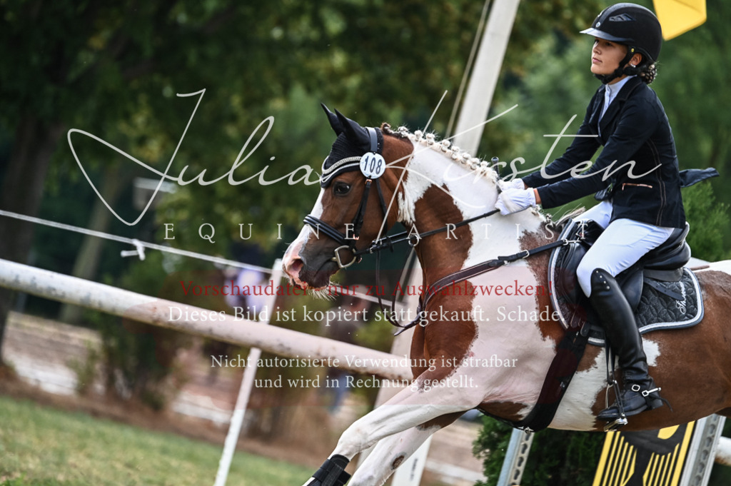 DSC_8551 | Pferde- und Turnierfotografie in Westsachsen. Pferdeportraits, Auftragszeichnungen und intuitive Kunst.
