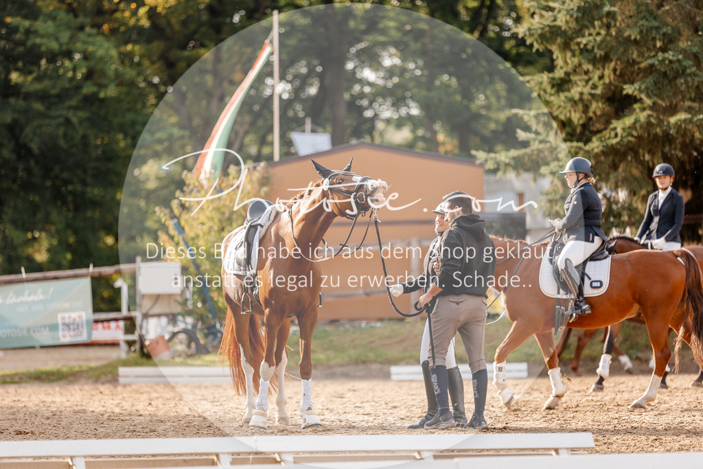 3I6A2609 | Stimmungsvolle Portraits und Reitsportfotografie im Ruhrgebiet und im Münsterland.

Pferdefotografie, Hundefotografie, Tierfotografie, Reportagen, Portraits von Tier und Mensch, Turnierfotografie in Bochum, Recklinghausen, Marl, Haltern am See, Dülmen.. - Realisiert mit Pictrs.com