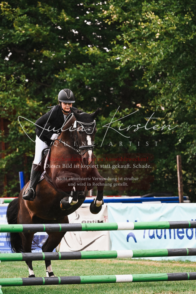 DSC_6322 | Pferde- und Turnierfotografie in Westsachsen. Pferdeportraits, Auftragszeichnungen und intuitive Kunst.