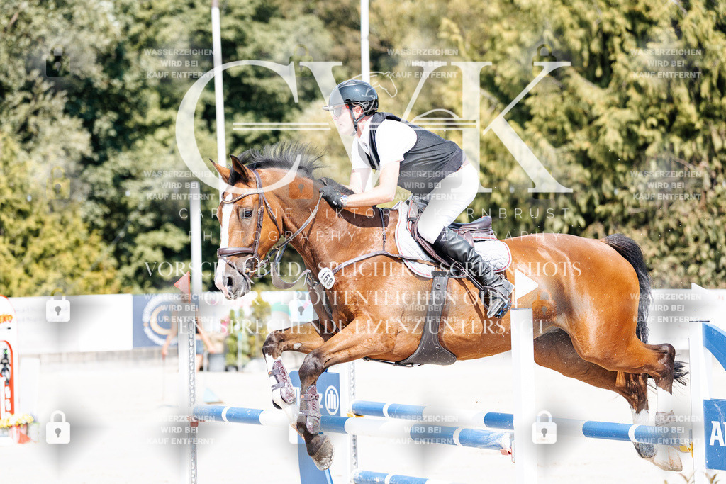CK901207 | Turnierfotografie Pferdefotografie Trier Rheinland-Pfalz Pferdesport Reitsport Tierfotografie Sportfotografie Pferdevideo Pferdevideografie Equestrianvideography equestrianphotography  - Realisiert mit Pictrs.com