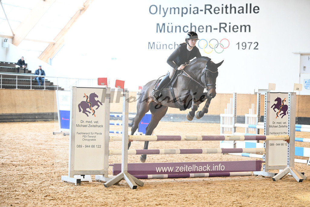 Kat-Nr. 23 Con Casall v. Canoso_Gestuet Sprehe_5240384 | hf-fotografie - Realisiert mit Pictrs.com