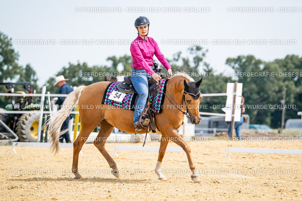 DSC00304 | Pferdegrafie