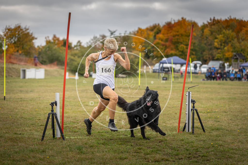 Pfotenfotografie_DV3A6577 | Hundefotografie, Tierfotograf, Pfotenfotografie, Fotoshooting Hund, Hunde Portrait, Hundesport, Hundeportraits, Heideshooting, Hunde, Sportfotograf, Hundefotograf, Turnierhundsport, THS,  - Realisiert mit Pictrs.com