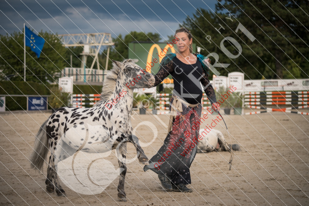 DSC_0009 | Sport-, Event- und Tierfotos in Profiqualität. Einfach auswählen, bestellen und herunterladen. Dein Moment – perfekt festgehalten.